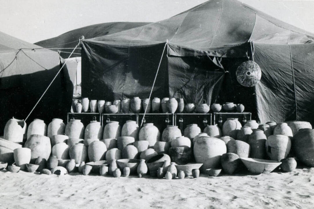Иллюстрация к новости: Пока не пришла вода: Нубийская археологическая экспедиция 1961-1962 годов